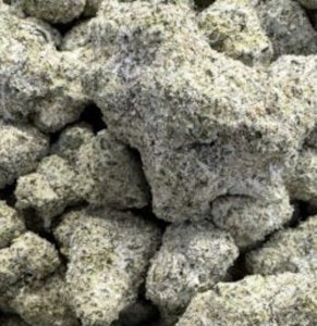 Nub - Numb-Snow Caps- Bubblegum Gelato-61.05%-Deli Style