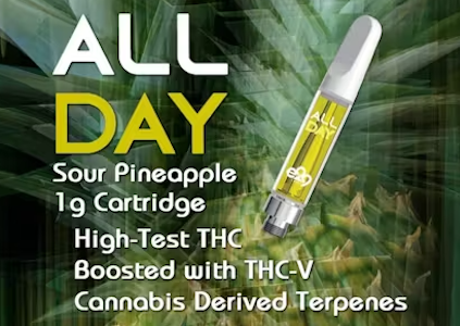 E29 Labs - E29 Labs - All Day - Sour Pineapple - 1g - Cartridge