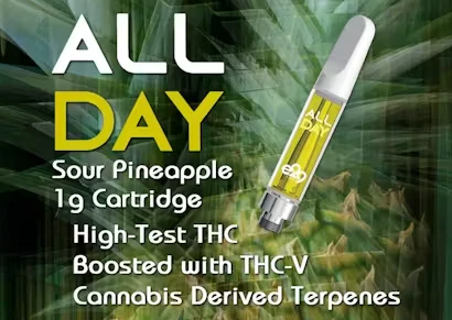 E29 Labs - E29 Labs - All Day - Sour Pineapple - 1g - Cartridge Main Image