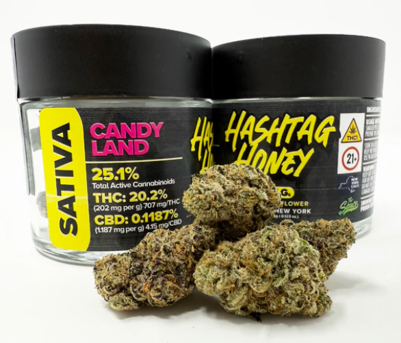 Hashtag Honey - Hashtag Honey - Candyland - 3.5g Main Image