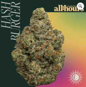 THERAPLANT - all:hours Hash Burger 41213