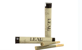 Chocolate Berry - 1g Pre-Roll