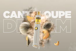 Cantaloupe Dream 2g AIO