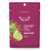 WyldOnes | Raspberry Lime 1:1 | THC:CBD