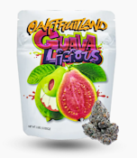 Guavalicious 3.5g Bag - Oakfruitland
