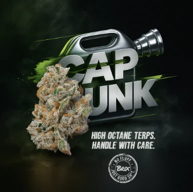 BRIX - Cap Junk Whole Flower 3.5g (H) 00370 Main Image