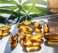 WVA | Garden Blend | Hybrid | Live Rosin Capsules