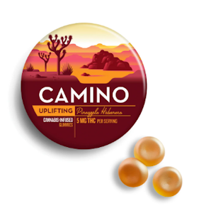 CAMINO - Edibles | Camino | Pineapple Habanero "Uplifting" | 100mg 