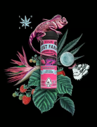 Kiva Lost Farm Live Resin Gummies Raspberry