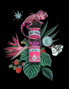 KIVA - Kiva Lost Farm Live Resin Gummies Raspberry