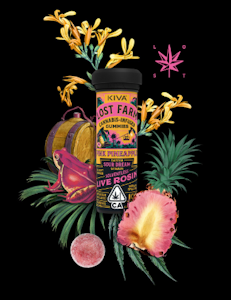 KIVA - Kiva Lost Farms Live Rosin Gummies Pink Pineapple