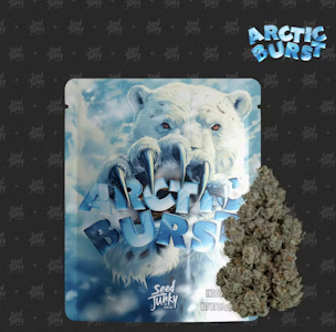 SEED JUNKY - Arctic Burst - Indoor - 3.5g