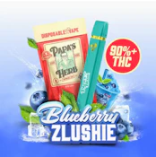 Blueberry Zlushie 1g AIO