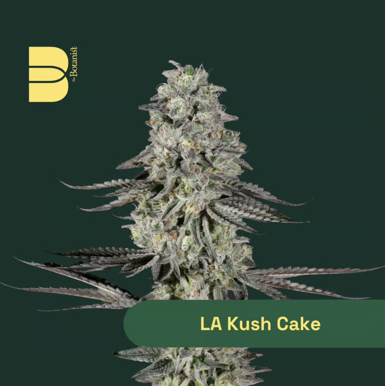 The Botanist - LA Kush Cake - 3.5g Flower Main Image