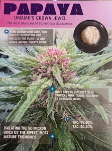 Umamii - Papaya | Solventless Live Rosin | 1g (Umamii)