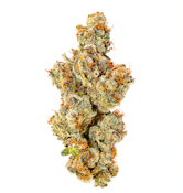 Cherry Paloma | Full Melt Bubble Hash Infused | Prerolls | 2.5g/5pk (Umamii)