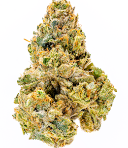 Umamii - Jokerz | Full Melt Bubble Hash Infused | Prerolls | 2.5g/5pk (Umamii)