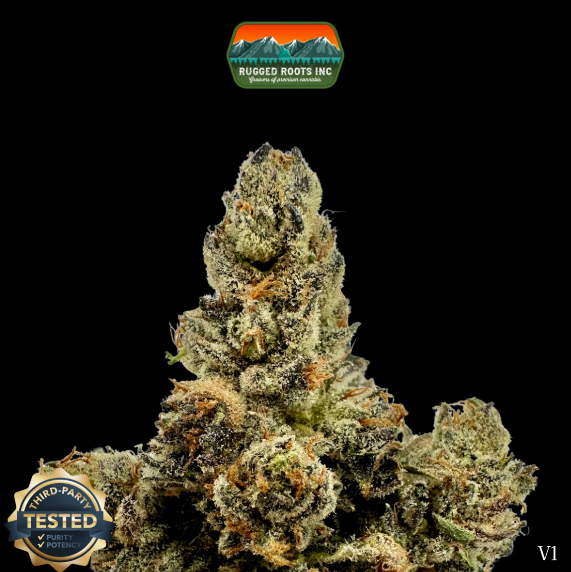 Rugged Roots - Flower | Bandz Main Image