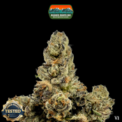 Dime Bag | Ice Cream Sundae | 1g