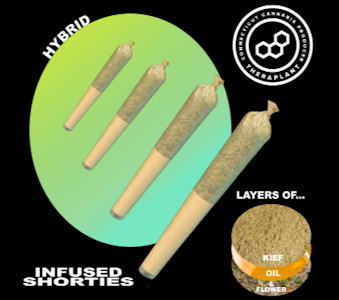 THERAPLANT - Lato #44 Infused Shorties 41031