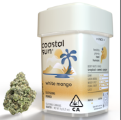 Coastal Sun Flower 7g - White Mango 29%