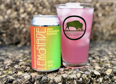 Wild Strawberry Rhubarb - 10mg Beverage