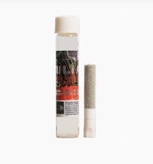 JULIA | Lemon Cherry Gelato | 1.5G Preroll