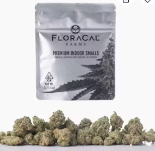 Floracal - Floracal - Flower - Purple Venom - 7G