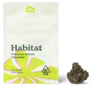 Green Habitat - Space Lemonade - (H) 14g