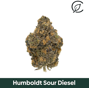CURALEAF - Curaleaf Whole Flower 14g Humboldt Sour Diesel (S) 01163
