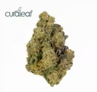 CURALEAF - Curaleaf Whole Flower 3.5g Jayna's Sunshine (H) 01169
