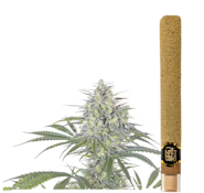 Orange Creamsicle - 2g Infused BLUNT