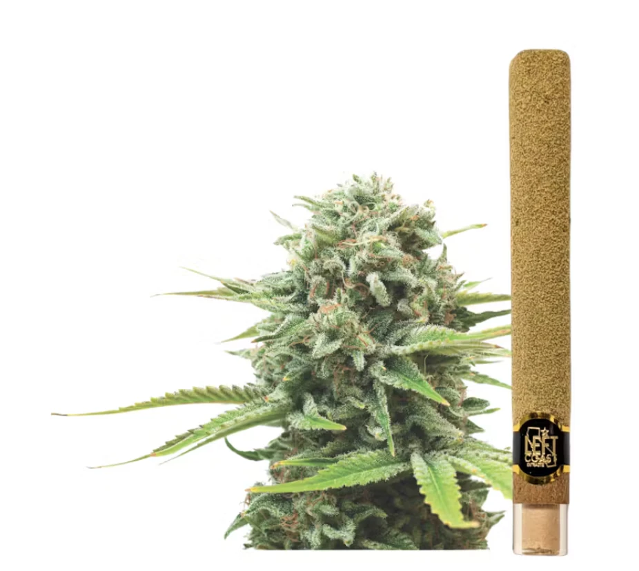 LEFT COAST - Monster Cookies - 2g Infused BLUNT Main Image
