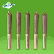 Durban Stardawg Shorties H 26438