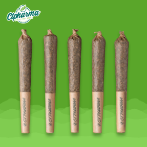 CT Pharma - Durban Stardawg Shorties H 26438