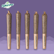 GMO Skunk Shorties I 26498