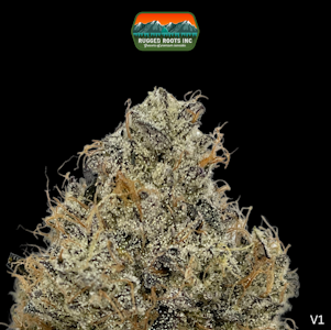 Rugged Roots - Flower | Edo G