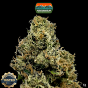 Flower | Sunset Runtz