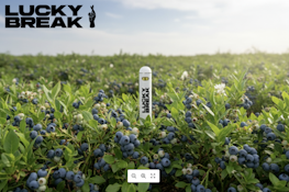 Blueberry Dream .5g Rechargeable 0037