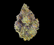 [Maven] Flower - 3.5g - Chem 51 (H)