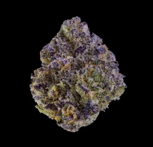 Maven - [Maven] Flower - 3.5g - Umami Butter (I)