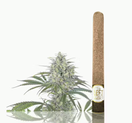 LEFT COAST 2.2G Orange Creamsicle Infused Blunt Preroll