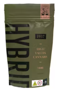 1937 - 1937 - Gastropop #4 - 14g