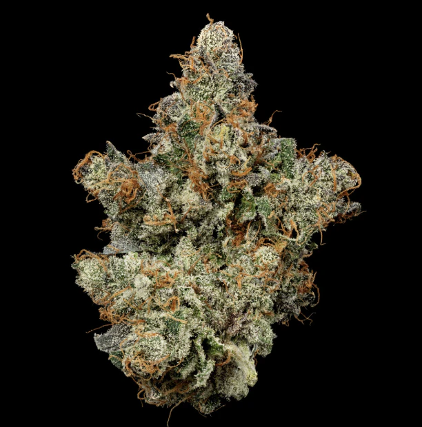 U4EA Farms - Black Patronus | 3.5g A Buds | TAX INCLD* Main Image