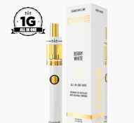DIME 1G AIO Berry White Disposable
