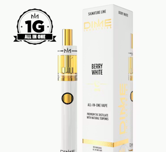 DIME INDUSTRIES - DIME 1G AIO Berry White Disposable