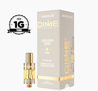 DIME INDUSTRIES - DIME 1G Cantaloupe Dream Cartridge
