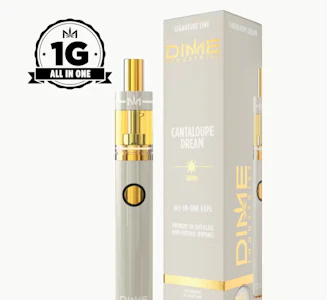 DIME INDUSTRIES - DIME 1G AIO Cantaloupe Dream Disposable