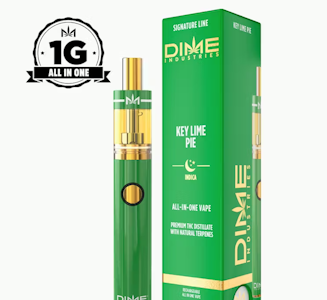 DIME INDUSTRIES - DIME 1G AIO Key Lime Pie Disposable