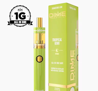 DIME INDUSTRIES - DIME 1G AIO Tropical Kiwi Disposable